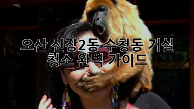 오산 신장2동, 수청동 거실 청소 완벽 가이드! ✨