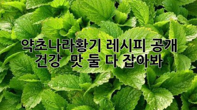 약초나라황기 레시피 大공개! 😋 건강 & 맛 둘 다 잡아봐!