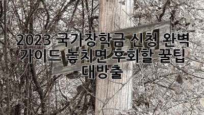 2023 국가장학금 신청 완벽 가이드! 놓치면 후회할 꿀팁 대방출!