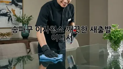 송파구 이사청소: 깨끗한 새출발, 어디서?