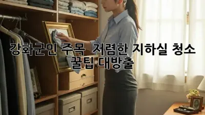 강화군민 주목! ✨ 저렴한 지하실 청소 꿀팁 대방출!